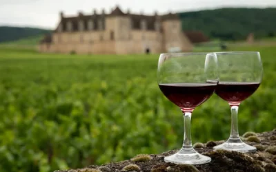 Quel hébergement choisir pour un séjour en Bourgogne ?