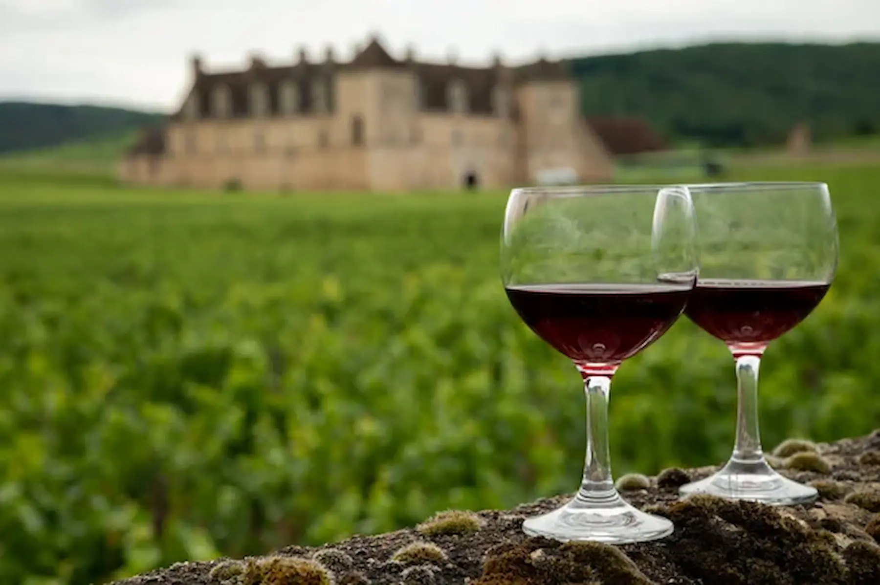 convivialité en Bourgogne