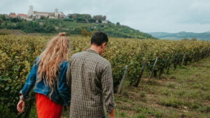 Balade dans les vignes de Bourgogne