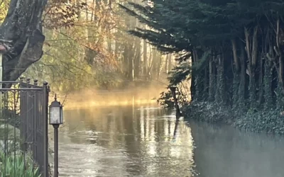 L’Armançon, une rivière à taille humaine